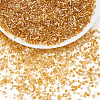 150G Glass Seed Beads SEED-ME0001-03B-1