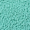 MIYUKI Delica Beads X-SEED-J020-DB2122-3