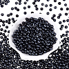 500Pcs Transparent Glass Seed Beads SEED-PA0001-08D-1