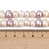 Electroplated Shell Pearl Beads Strands BSHE-H113-04B-4