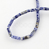Natural Blue Spot Gemstone Beads Strands G-R181-16-2