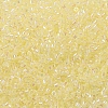 MIYUKI Delica Beads SEED-X0054-DB0053-3