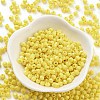 Baking Paint Glass Seed Beads X1-SEED-A032-02E-2