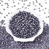 Silver Lined Glass Seed Beads SEED-T007-18A-08-2