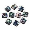 Natural Abalone Shell/Paua Shell Beads SSHEL-T014-13A-1