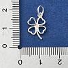 925 Sterling Silver Charms STER-M119-12S-3