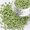 8/0 Glass Seed Beads SEED-US0003-3mm-124-1