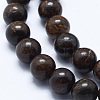 Natural Bronzite Bead Strands X-G-P370-05-8mm-3