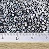 MIYUKI Delica Beads X-SEED-J020-DB0052-4