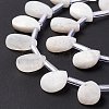 Natural Rainbow Moonstone Beads Strands G-G805-B16-6