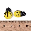Handmade Lampwork Beads LAMP-R004-04-07-3