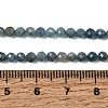 Natural Kyanite/Cyanite/Disthene Beads Strands G-G259-D04-3mm-9