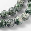 Gemstone Beads Strands GSR006-2