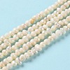 Natural Cultured Freshwater Pearl Beads Strands PEAR-E018-46-2