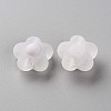Transparent Acrylic Beads TACR-S152-09C-06-2