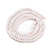 Natural Sea Shell Beads Strands G-H042-B33-01-3