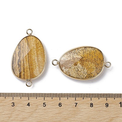 Natural Picture Jasper Connector Charms G-C110-02E-KCG-1