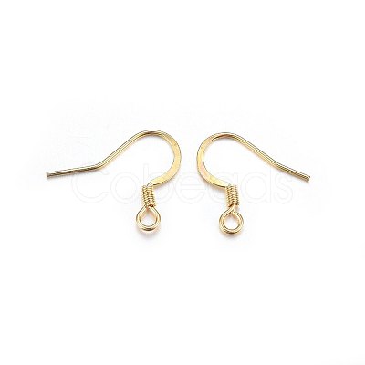 304 Stainless Steel French Earring Hooks LS-STAS-P210-23G-1