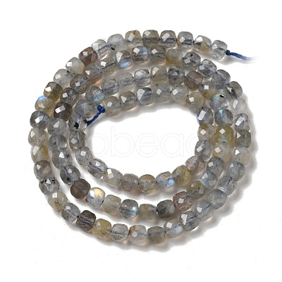 Natural Labradorite Beads Strands G-D470-10-1