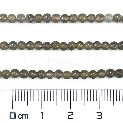 Natural Labradorite Beads Strands G-M438-A01-01-1