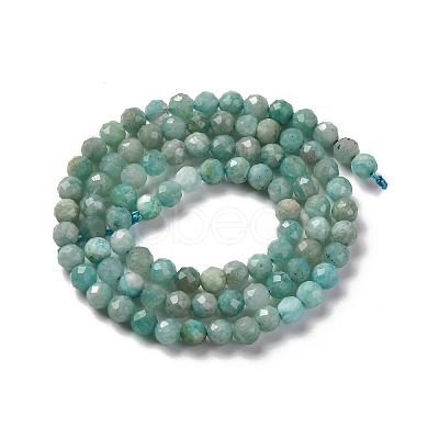 Natural Amazonite Beads Strands G-G140-A18-03-A-1