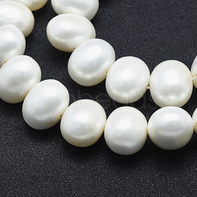 Shell Pearl Beads Strands BSHE-F001-02B-1