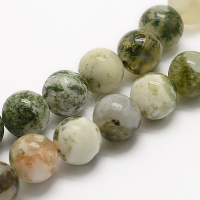 Natural Tree Agate Beads Strands G-G735-02-6mm-1
