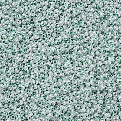 11/0 FGB Grade A Round Glass Seed Beads SEED-N001-B-0487-1
