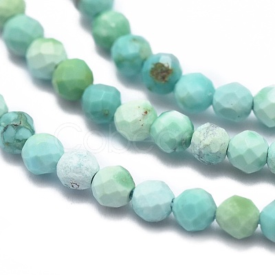 Natural HuBei Turquoise Beads Strands G-G792-38-1
