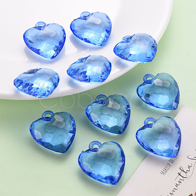 Transparent Acrylic Pendants TACR-T024-03B-940-1