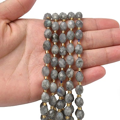 Natural Labradorite Beads Strands G-F809-A47-01-1