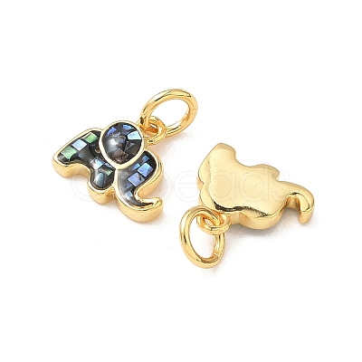Rack Plating Brass & Shell Pendants KK-I357-07G-1