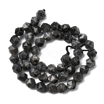 Natural Larvikite Beads Strands G-Z119-A32-02-1