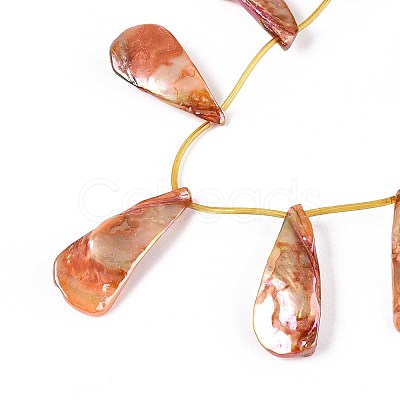 AB Color Plated Dyed Natural Freshwater Shell Beads Strands SHEL-T020-55E-1