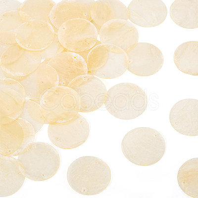 50Pcs Dyed Natural Capiz Shell Connector Charms BSHE-TA0001-20C-1