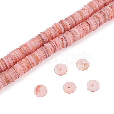 1 Strand Natural Freshwater Shell Beads Strands SHEL-TA0001-35B-1