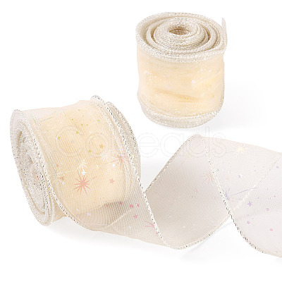Polyester Deco Mesh Ribbons OCOR-TAC0024-004F-1