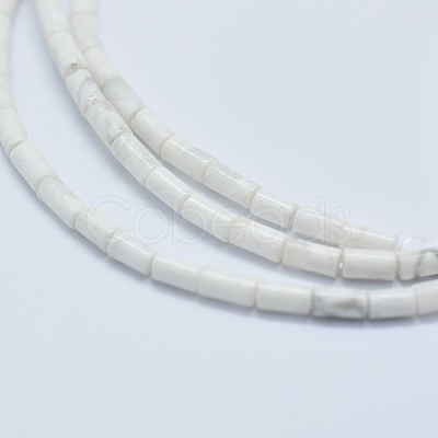 Natural Howlite Beads Strands G-F631-B08-1