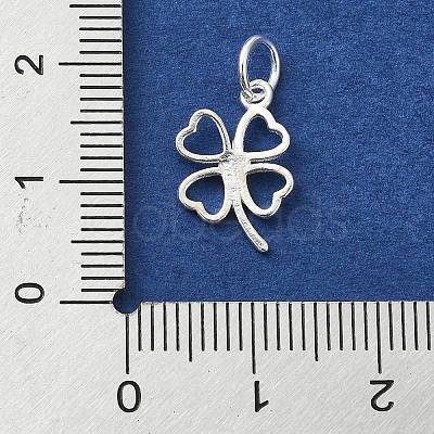 925 Sterling Silver Charms STER-M119-12S-1