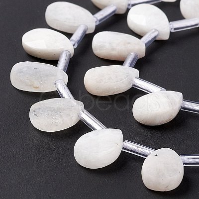 Natural Rainbow Moonstone Beads Strands G-G805-B16-1