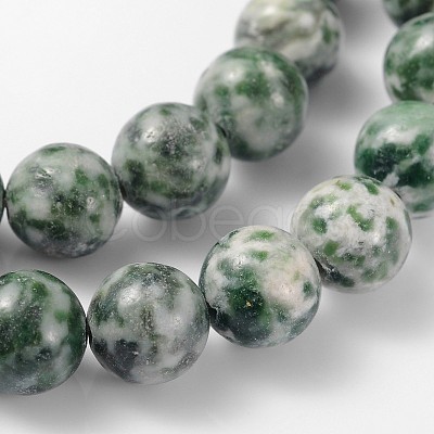 Gemstone Beads Strands GSR006-1