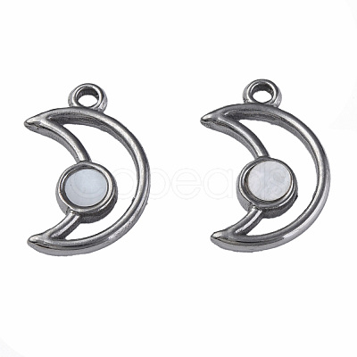 304 Stainless Steel Pendants STAS-N087-50-05P-1