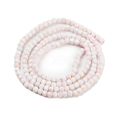 Natural Sea Shell Beads Strands G-H042-B33-01-1