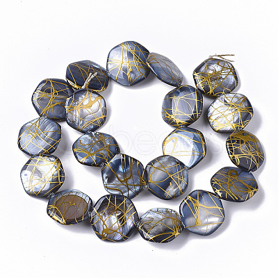 Drawbench Freshwater Shell Beads Strands X-SHEL-T014-013B-1