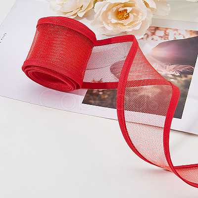 Elastic Polyester Mesh Ribbons OCOR-WH0082-172B-1
