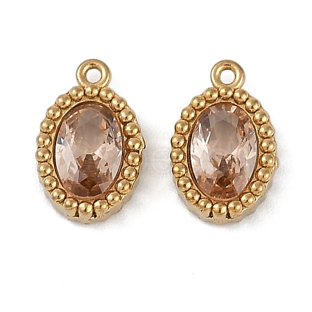 Ion Plating(IP) 304 Stainless Steel Micro Pave Cubic Zirconia Charms STAS-K256-19G-02-1