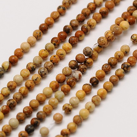 Natural Picture Jasper Round Bead Strands G-A130-2mm-19-1