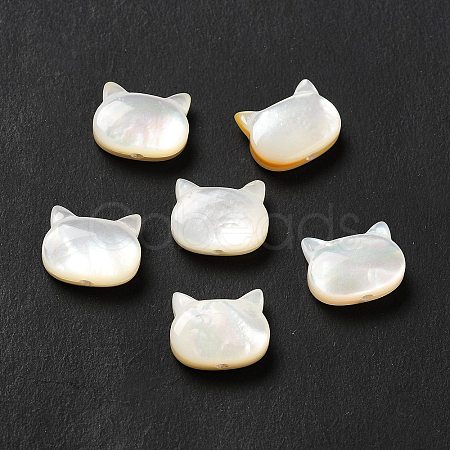 Natural White Shell Beads SHEL-G014-10A-01-1