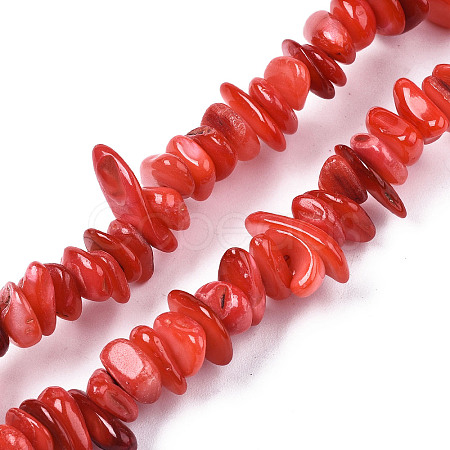 Natural Freshwater Shell Beads Strands X-SHEL-S278-071A-1