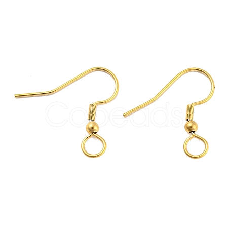 304 Stainless Steel Earring Hooks X-STAS-B047-30G-1